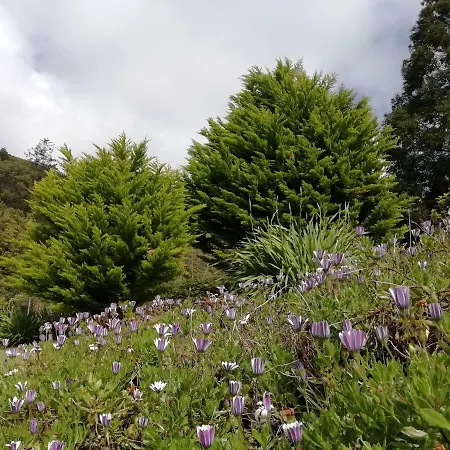 Feriehus Atlantic House - Santa Maria Azores