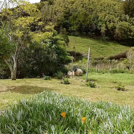Atlantic House - Santa Maria Azores * Vila do Porto